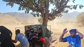 A storm causing trouble for the nomads.The story of the Moslem family difficult life in the mountain