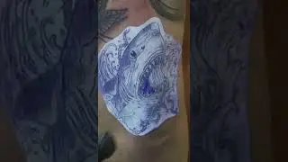 Акула. Татуировка акула. Тату акула. Черно-белые татуировки.