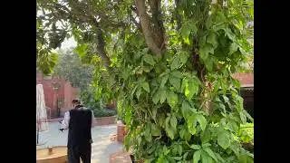 ITC hotel ka best view in agra