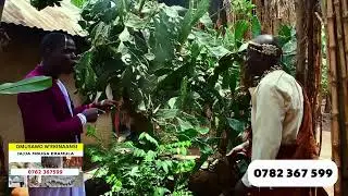 YIINO EMBUGA YA KAWUMPULI, ABAGANDA MWEBASIBIRA EMISANGO.
