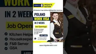 Poland Work Permit Visa 2024 | Poland D Visa | Jobs in Poland #polandvisa #visaservices #shortsfeed