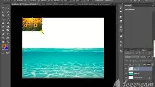 Shadow in water - Adobe Photoshop