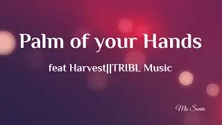 Palm of your Hands feat Harvest|TRIBL Music lyric cover video|Mis Sonia