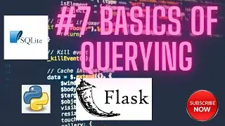 #7 Basics of querying in flask
