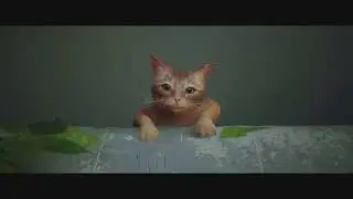 Cat Game Stray PS5 Gameplay 4K 60fps