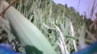 Bullet Vendetta On Board Camera