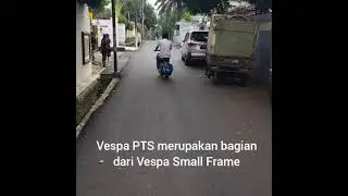 Vespa PTS review
