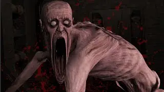 SCP: I LOOKED
