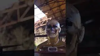 Am I Your New Favourite Zombie-Slaying Video Game Character?!