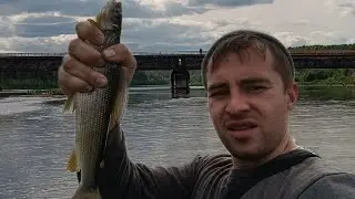 рыбалка на хариуса. река Вижай