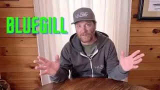 Fish Facts - BLUEGILL