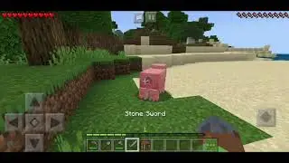 Minecraft is a meme 1