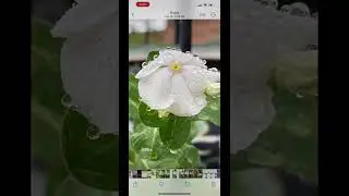 iOS 16 feature you didn’t know about❗❗ Part.1 #shorts #tiktok #reels #fyp