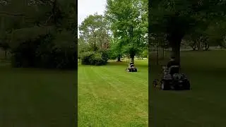 Toro Timecutter #lawncare #toro #shortsasmr #waylonsworld #ducks #satisfying #asmr