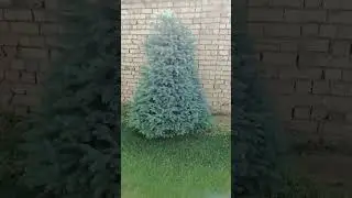935757317