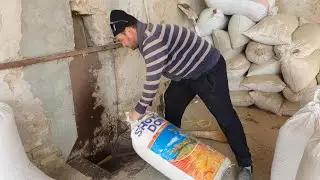 Sholini Tegirmonda guruch qildik ! Qancha % guruch berganini xisobladik.