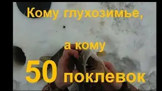 Жерлицы в феврале 2019: кому глухозимье, а кому 50 поклевок.