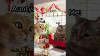 CNY versi kucing