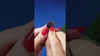 Мои сокровища !Монеты из пятерочки! 