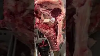 Два Быка Ангуса 🔪