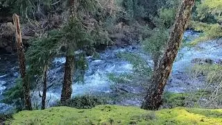 Pipeline Trail / Nanaimo River