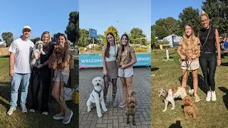 Pawlooza 2024 // Hundevlog auf dem Hundefestival // Petfluencer Award