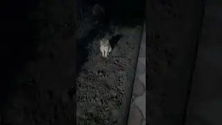 встречаются маму два охранника