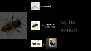 рил так