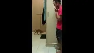 ‫مسيكن القطوس دوخو كيما حب‬