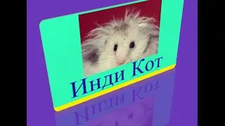 915 уровень   Инди кот