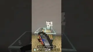 Fish Tank Minecraft Build