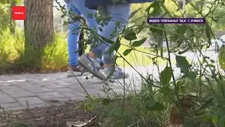 Ачинский пинатель всё-таки отправляется за решётку