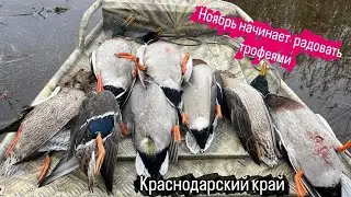 Охота на Утку в ноябре , начинает радовать Трофеями. 🦆🦆🦆