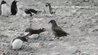 A skua eating babies but with subtitles and it's pretty weird...