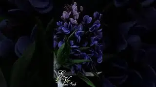 МК🌸без дыроколов и молдов! доступен подписчикам Бусти и донам ВКонтакте, ссылочки в первом коммент.