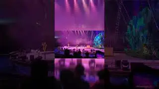 New Year Circus in China  #instagram #concert #imrankhanworld #vlog #pakistan #party