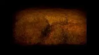 Юркеш - Стеляться тумани (official music video)