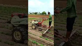હાથ સાતી🔥પાવર ટીલર 🚜 Power Tiller Se Jutai #farming #agriculture #satisfying