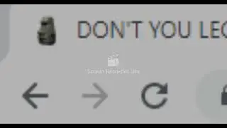 it's a normal Minecraft song