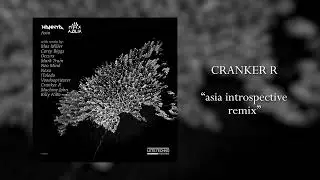 Cranker R - Asia introspective remix