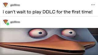 why is tumblr so funny?