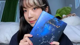 中文ASMR 睡前阅读《小王子》｜Chinese ASMR Reading "Le Petit Prince"
