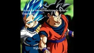 Toutes les transformations de Goku et Vegeta (v2). - Nïghtmare_76