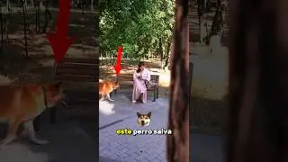 #babifreitas