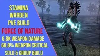 ESO Stamina Warden PVE Build - Force of Nature - Blackwood