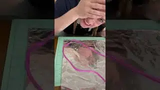 DIY Squiggle Frame #shorts