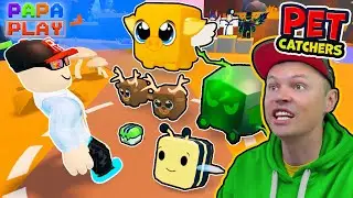 Милые питомцы в Pet Catchers!