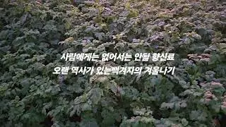 2024년 12월 29일