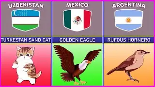 Comparison of probability : National animal of different countries