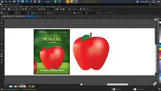 Using the Mesh Tool: Beginners Guide